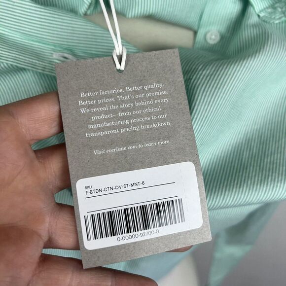 Everlane The Relaxed Fit Oxford Shirt 6 Women New Mint Green Pinstripe Button - Picture 6 of 8